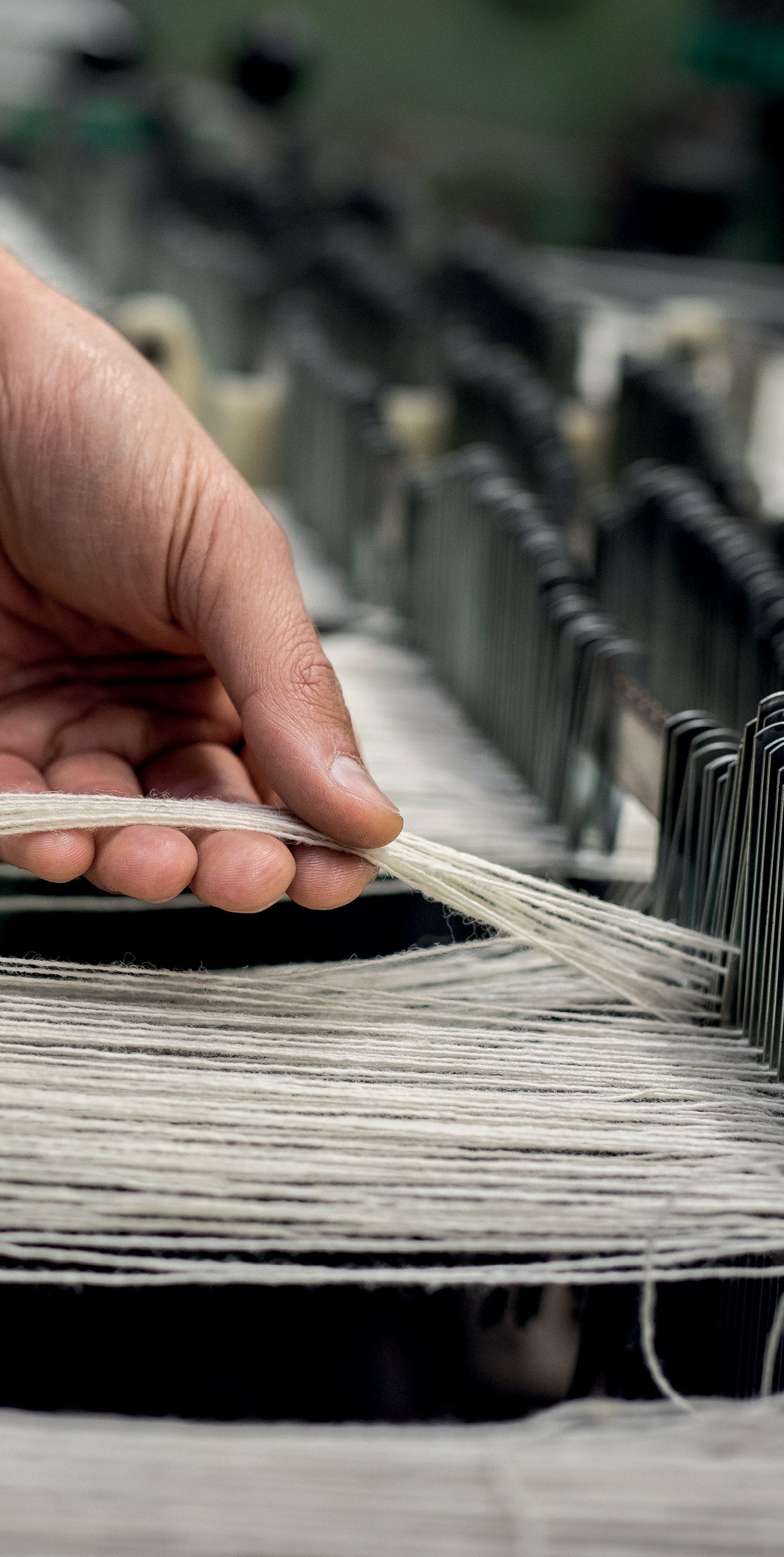 PICNIC ON THE BEACH / William McNutt