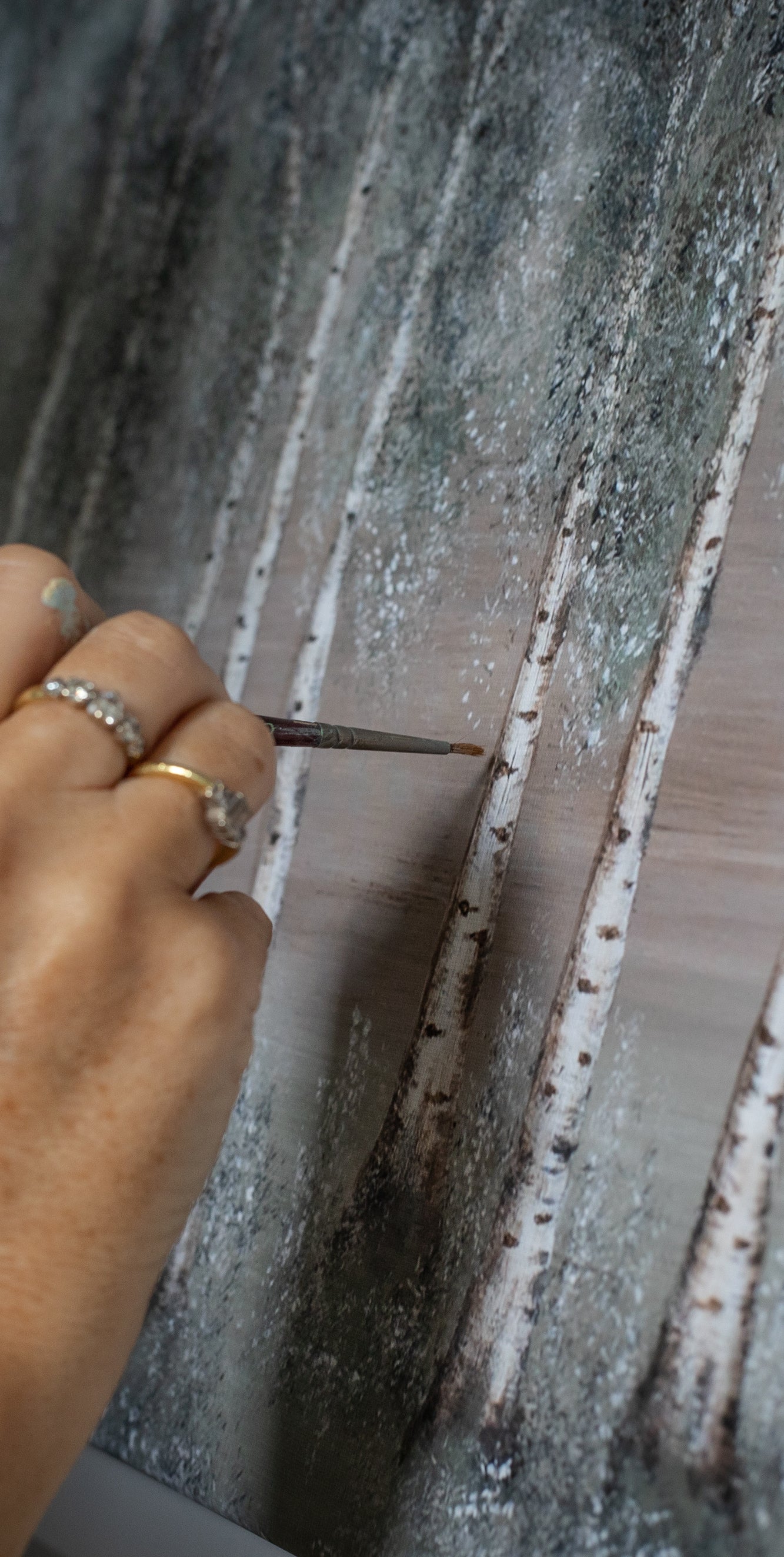 WOODLAND LIGHT / Elaine Tomlin