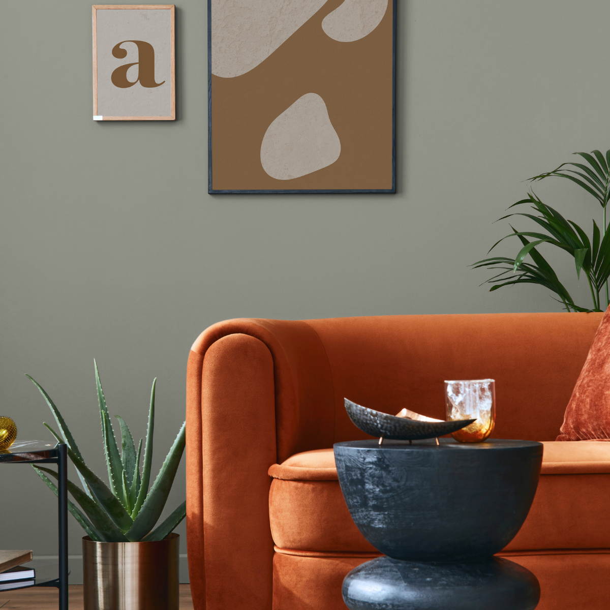 Curves & Colours: Painting Your Way to Elevated Interiors