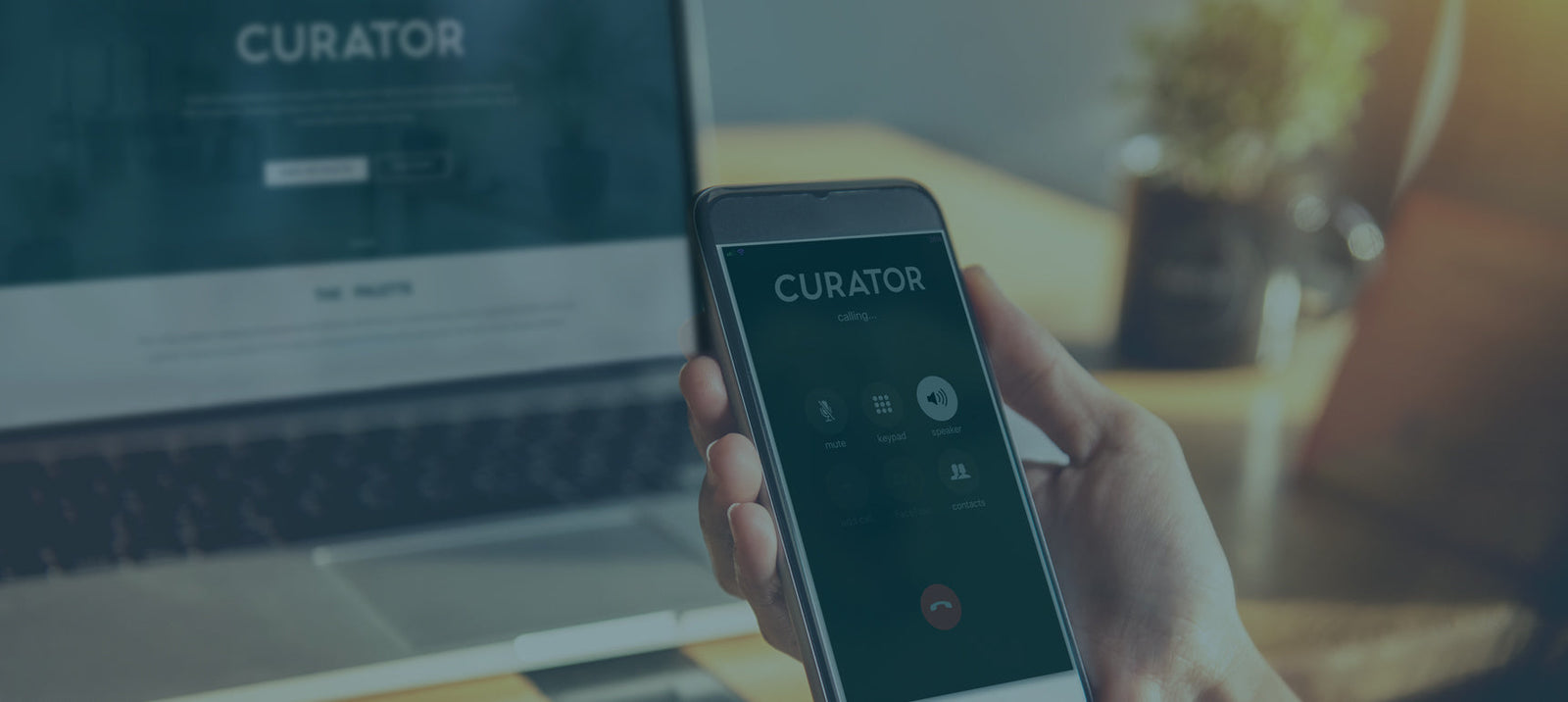 Curator High Quality Premium European Paint Expert Colour Services Irish Netherlands