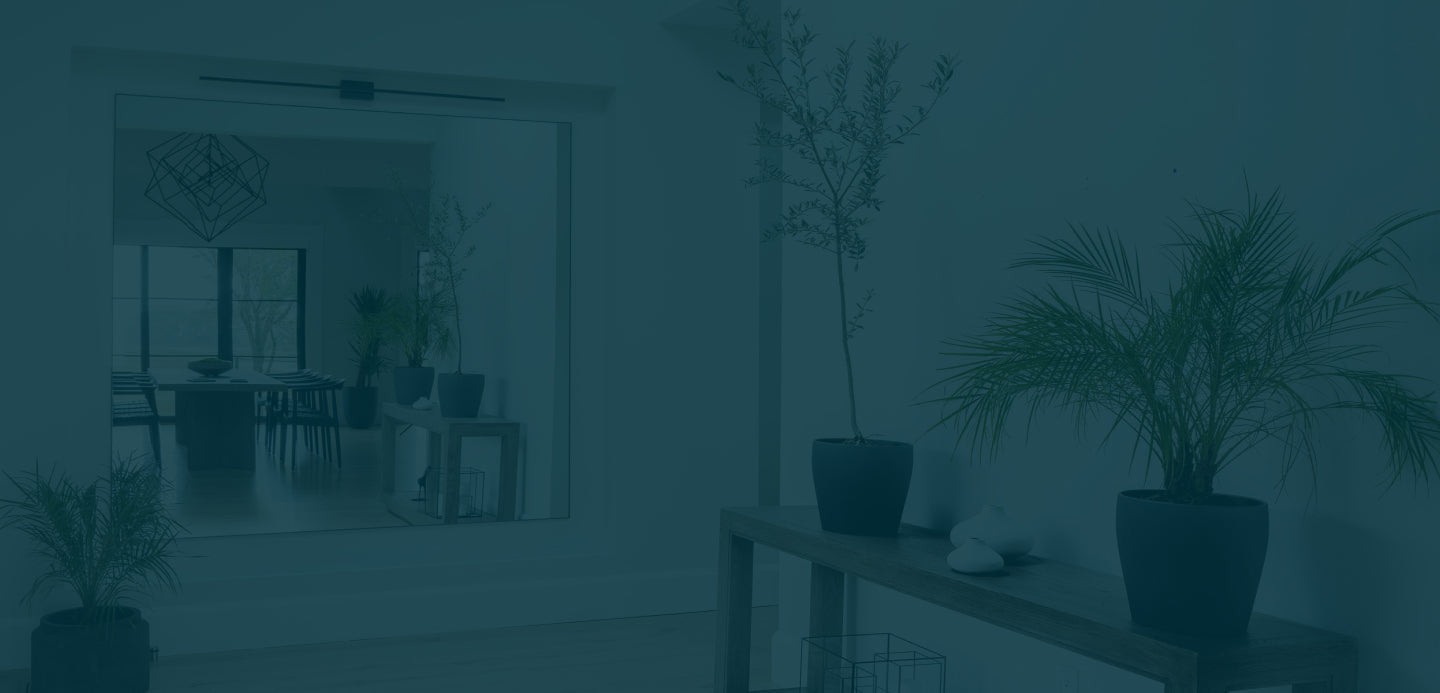 High Quality Premium European Paint 