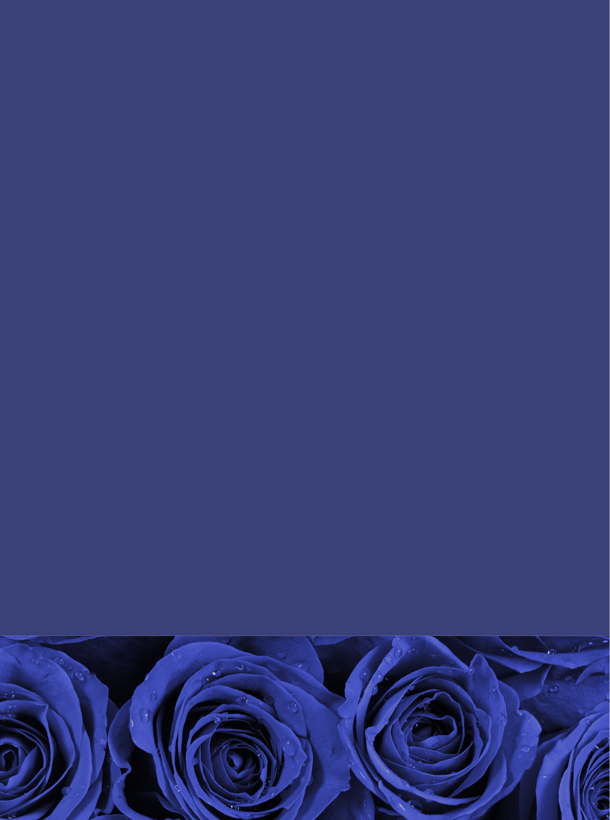 Curator High Quality Premium European Irish Netherland Paint Blue Purple Bold