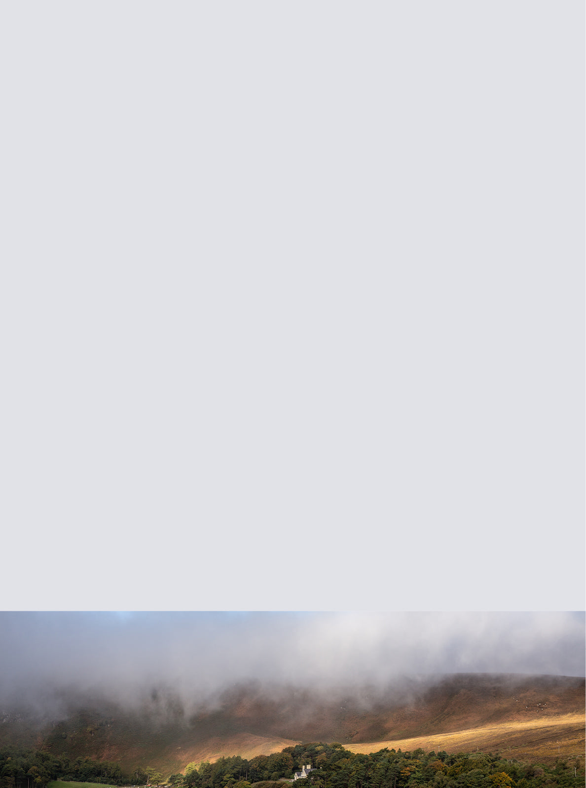 Curator High Quality Premium European Irish Netherland Paint Neutral 