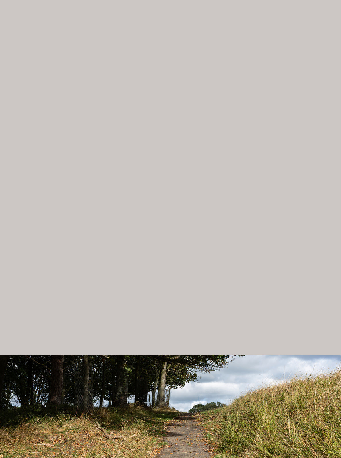 Curator High Quality Premium European Irish Netherland Paint Neutral Grey