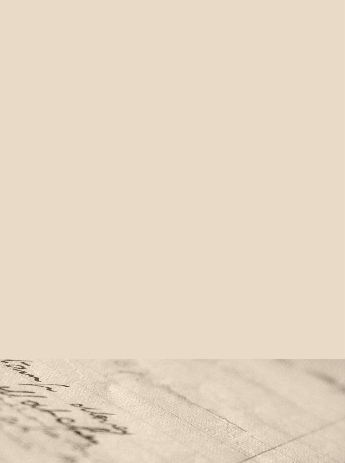 Curator High Quality Premium European Irish Netherland Paint Yellow Neutral colour