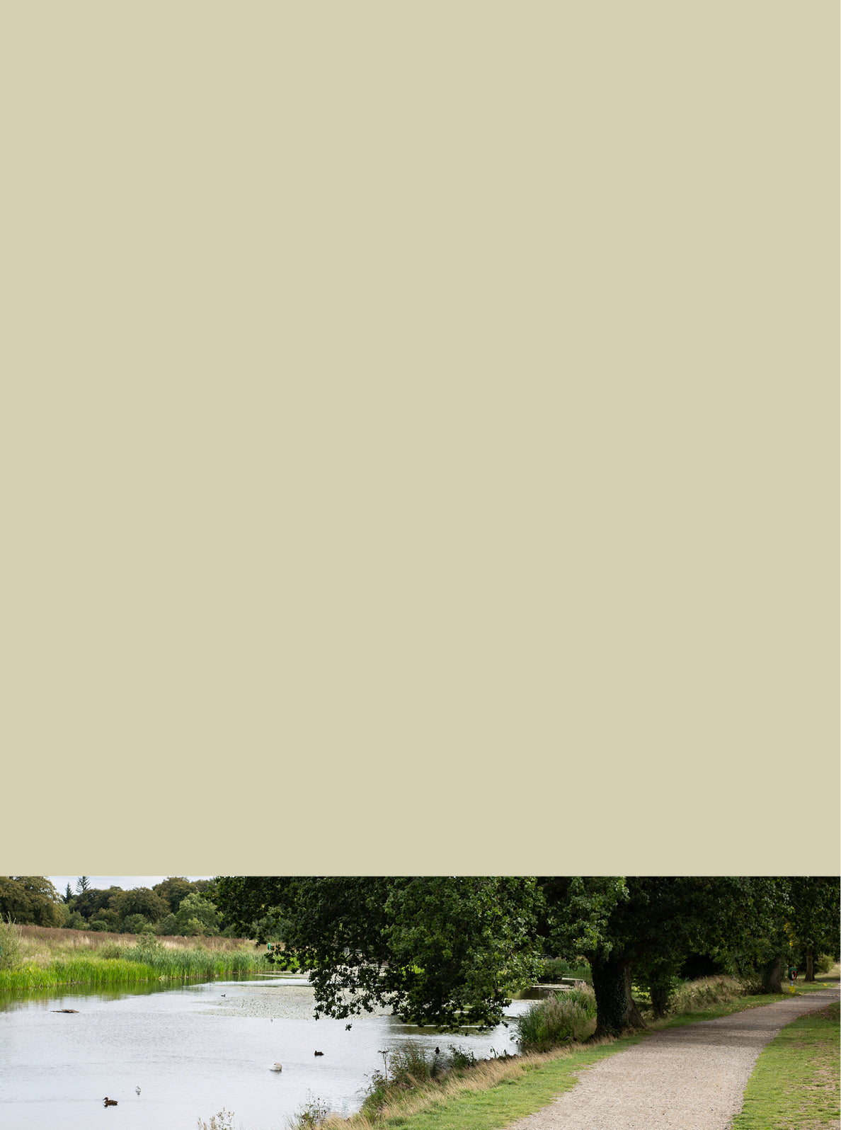 Curator High Quality Premium European Irish Netherland Paint Green