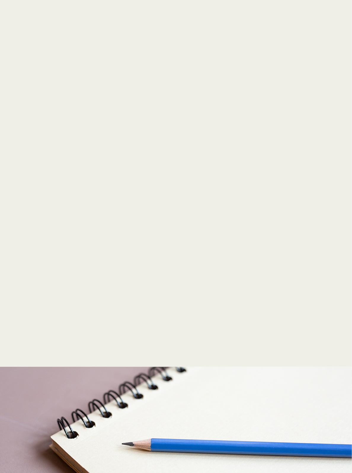 Curator High Quality Premium European Irish Netherland Paint White colour